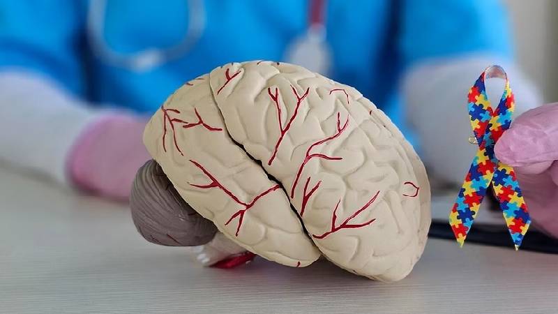 Memory and Neuro Health